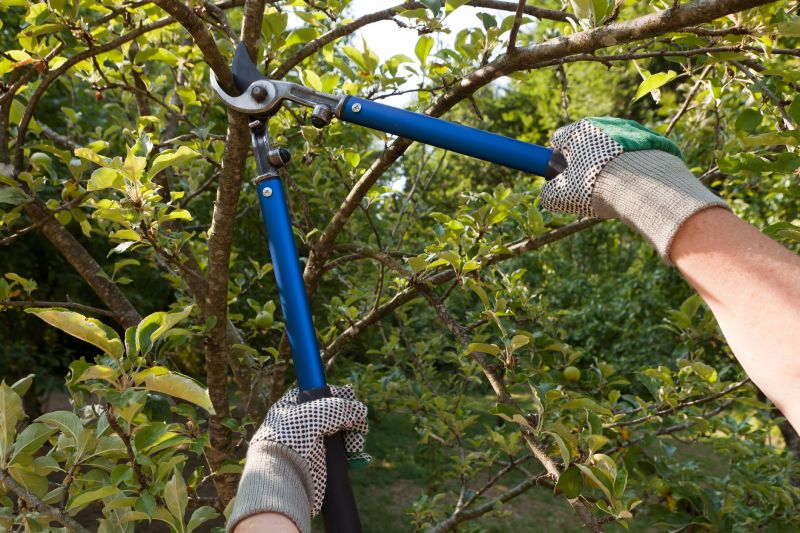 Pruning Techniques